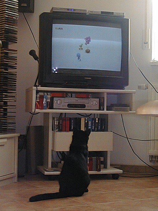 Sammy schaut Fernseh