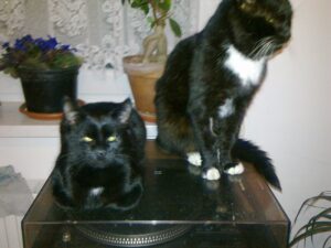 Sammy und Bagira