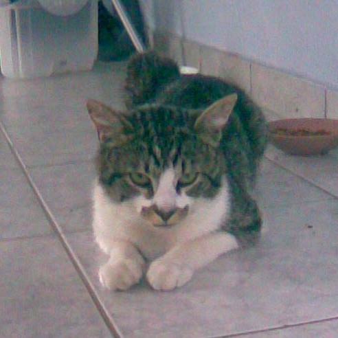 Kilo