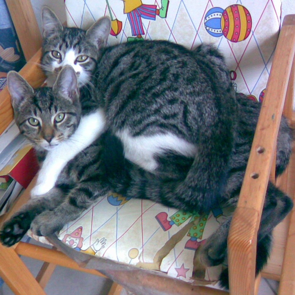 Kilo und Fee Huckepack