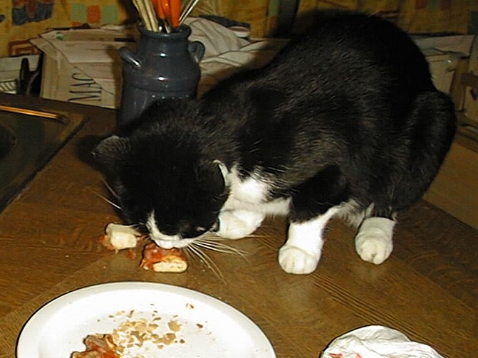 Minka klaut Essen