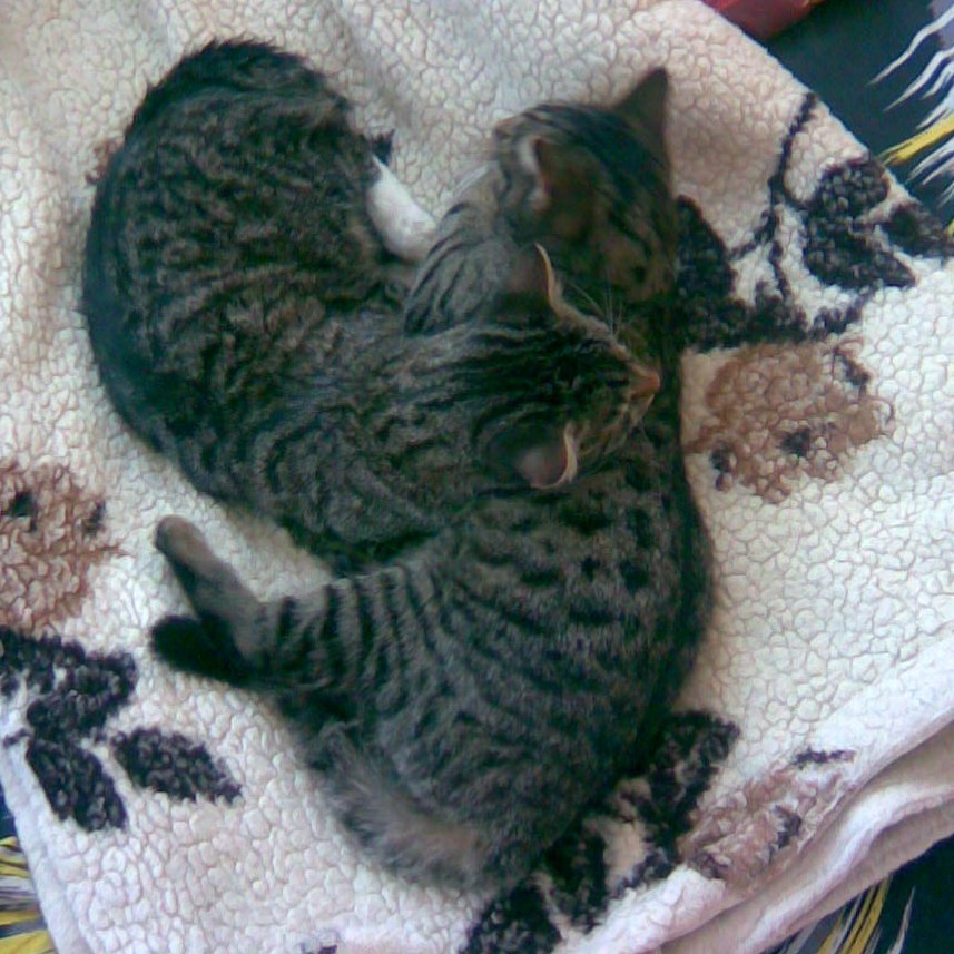 Ronny und Fee kuscheln