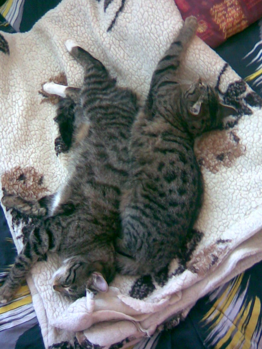 Ronny und Fee - Geschwisterliebe