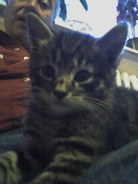 Ronny